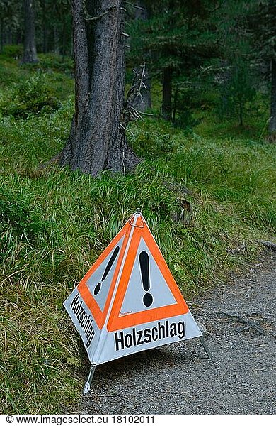 Schild  Holzschlag  Baumarbeiten  Unfallgefahr  Hinweis
