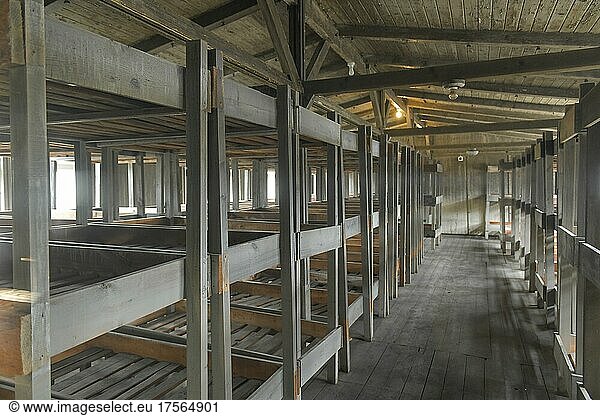 Schlafraum  Betten  Baracke 38  Gedenkstätte und Museum Konzentrationslager Sachsenhausen  Oranienburg  Landkreis Oberhavel  Brandenburg  Deutschland  Europa
