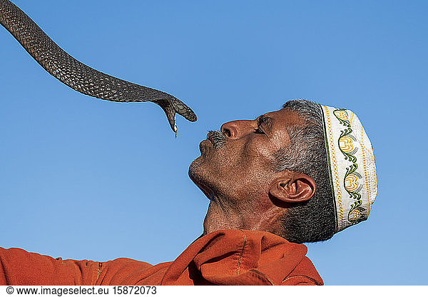 Schlangenbeschwörer  Djemaa el Fna  Marrakech  Marokko  Nordafrika  Afrika