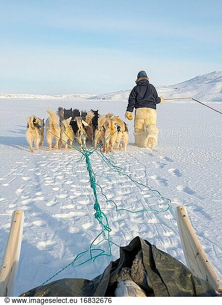 Schlittenhunde werden durch schwieriges Terrain geführt. Inuit-Jäger in traditionellen Hosen und Stiefeln aus Eisbärenfell auf dem Meereis der Melville-Bucht bei Kullorsuaq in Nordgrönland. Nordamerika  dänisches Teritorium.