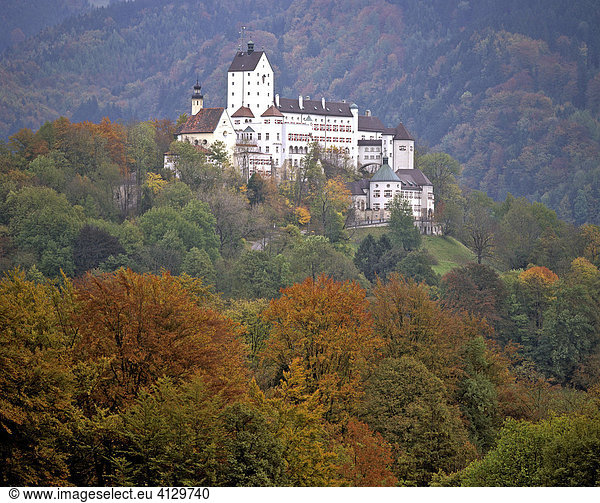 Schloss Hohenaschau  Herbstwald  Aschau  Chiemgau  Oberbayern  Deutschland