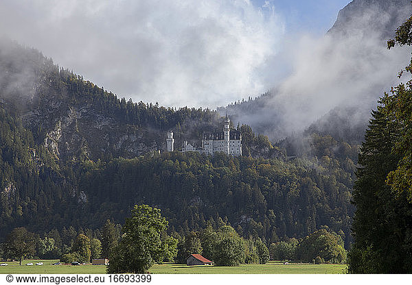 Schloss Neuschwanstein im Nebel.