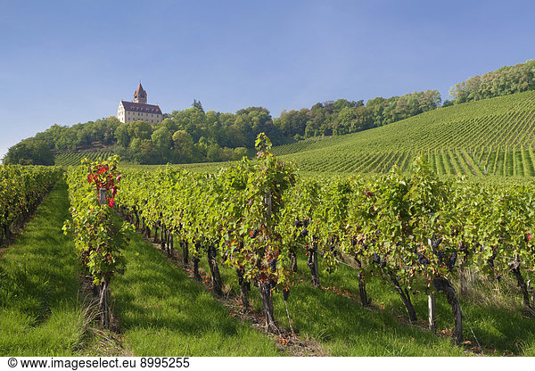 Schloss Stocksberg Stockheim Brackenheim Baden-Württemberg Deutschland