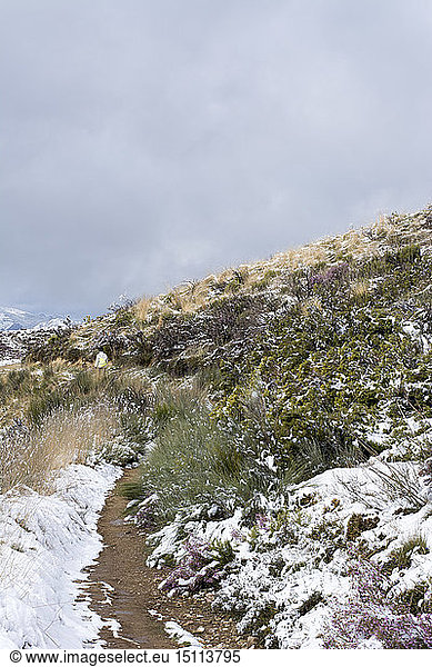 Schnee am Jakobsweg  in der Nähe von Cruz de Ferro  Spanien
