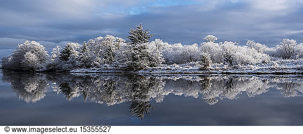 Schnee liegt an einem friedlichen Wintermorgen im Lewis and Clark National Historical Park; Astoria  Oregon  Vereinigte Staaten von Amerika