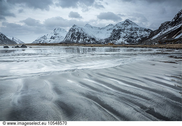 Schneebedeckte Berge hinter kaltem Strand  Skagsanden Strand  Lofoten Inseln  Norwegen