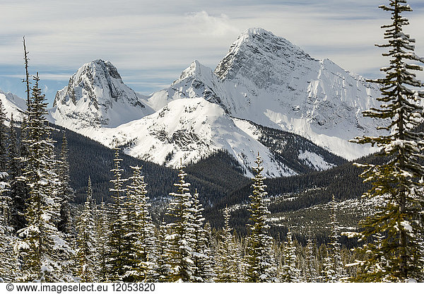 Schneebedeckte Bergkette  eingerahmt von schneebedeckten immergrünen Bäumen; Alberta  Kanada