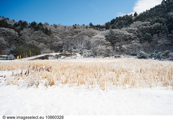 Schneebedeckte Landschaft Kawaguchiko-See Berg Fuji Japan
