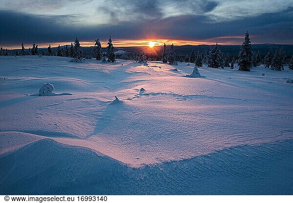 Schneebedeckte Winterlandschaft bei Sonnenuntergang  Lappland  Pallas-Yll?stunturi-Nationalpark  Finnland