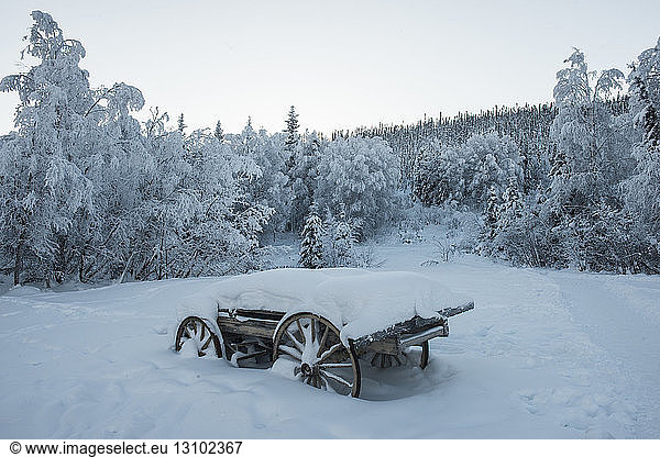 Schneebedeckter Wagen auf dem Feld vor Bäumen und klarem Himmel