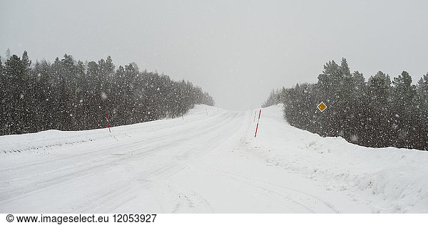 Schneefall und eine schneebedeckte  von Bäumen gesäumte Straße im Winter; Arjeplog  Provinz Norrbotten  Schweden
