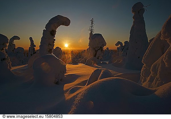 Schneelandschaft  Kuntivaara  Finnland  Europa
