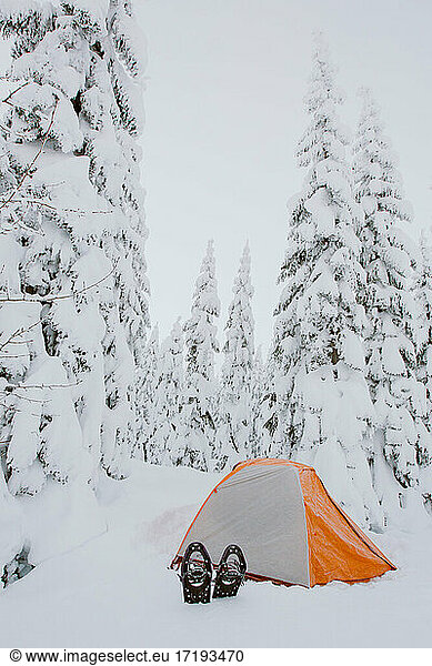 Schneeschuhe liegen vor dem orangefarbenen Zelt und frischer Schnee bedeckt die Bäume