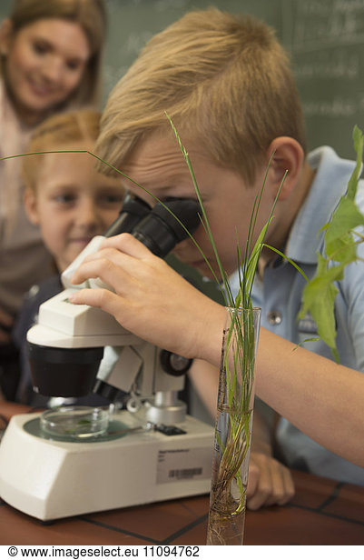 School boy looking through a microscope  Fürstenfeldbruck  Bavaria  Germany