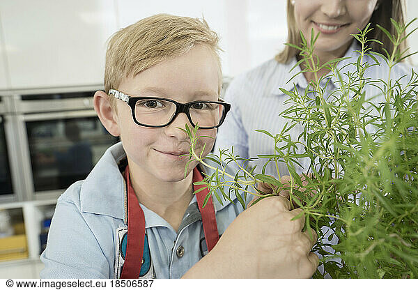 Schoolboy smelling rosemary plant in home economics class  Bavaria  Germany