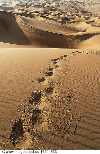 Schritte auf einer Sanddüne in der Wüste Empty Quarter  zwischen Saudi-Arabien und Abu Dhabi  VAE
