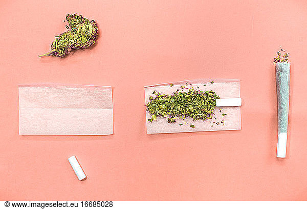 Schritte und Materialien zum Drehen eines Marihuana-Joints auf rosa Hintergrund.
