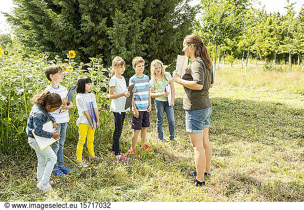 Schulkinder lernen die Natur in einem Sonnenblumenfeld kennen