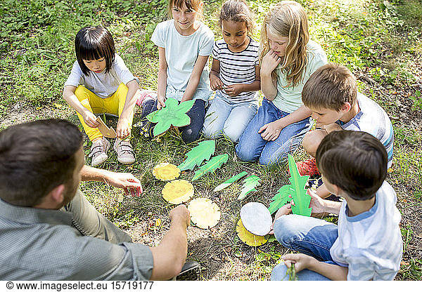 Schulkinder lernen  verschiedene Blattformen zu unterscheiden