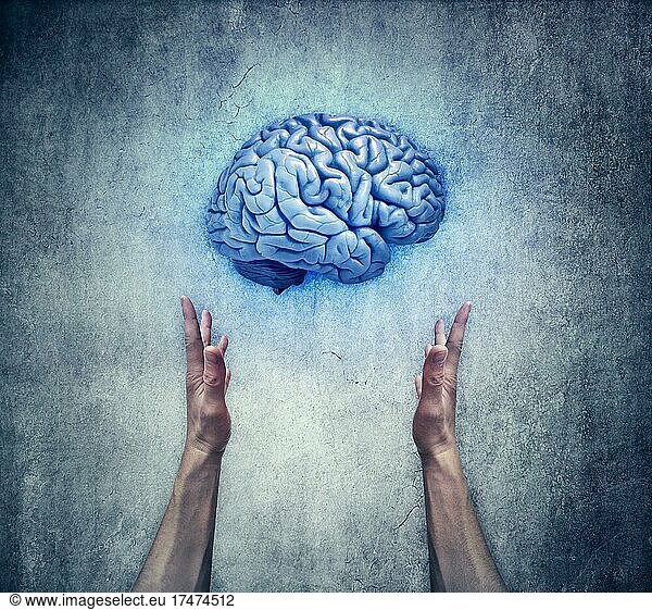 Schutz des geistigen Eigentums. Nahaufnahme von zwei menschlichen Händen  die ein blaues Gehirn halten. Speichern Sie Intelligenz und geistige Gesundheit Konzept