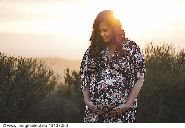 Schwangere Frau berührt Bauch  während sie während des Sonnenuntergangs an Pflanzen gegen den Himmel steht