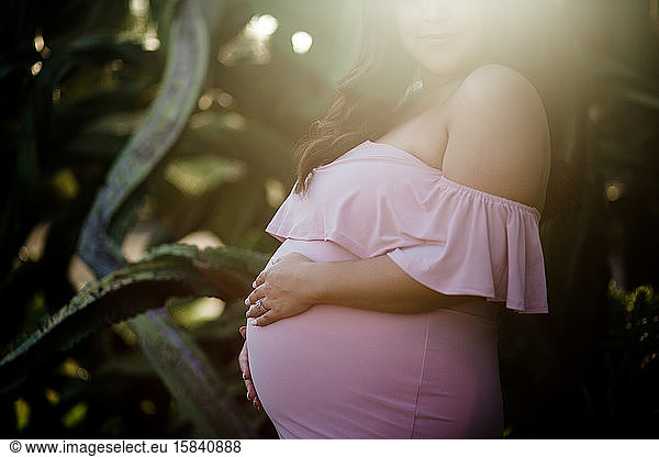 Schwangere Mutter posiert in der Nähe einer großen Sukkulente