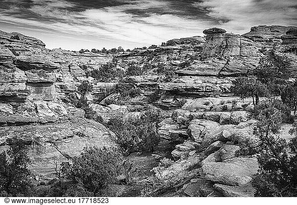 Schwarz-Weiß-Bild der wunderbaren Geologie am Big Spring Canyon im Canyonlands National Park; Moab  Utah  Vereinigte Staaten von Amerika