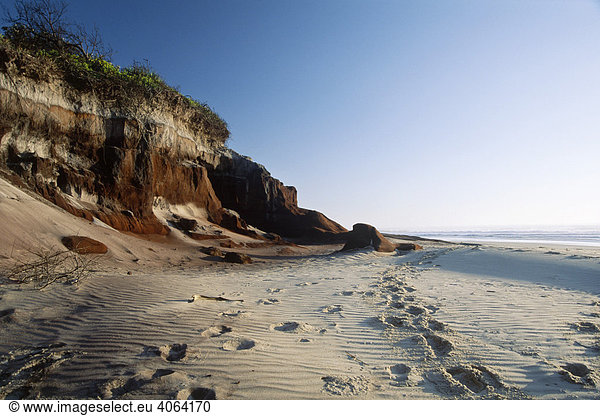 Schwarze Sandsteinfelsen im Bundjalung Nationalpark  New South Wales  Australien