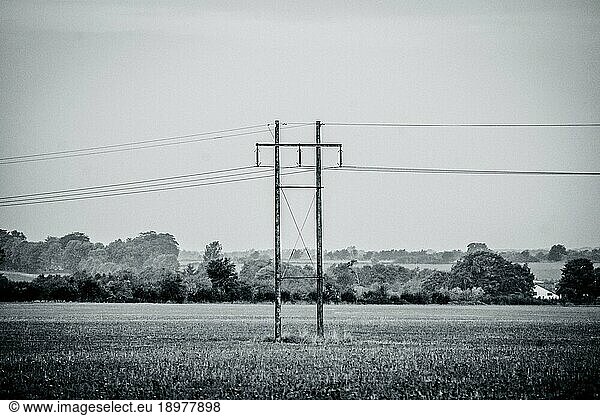 Schwarzweißfoto von Strommasten in einer ländlichen Szenerie