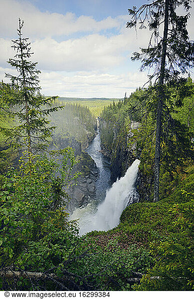 Schweden  Gaeddede  Wasserfall Haellingsafallet