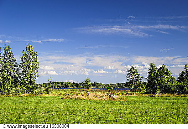 Schweden  Smaland  Kalmar laen  Vimmerby  Landschaft
