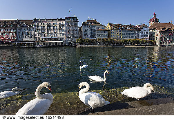 Schweiz  Luzern  Stadtbild