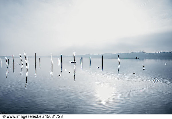 Schweiz  Zürich  Pfffikon  neblige Aussicht auf den See