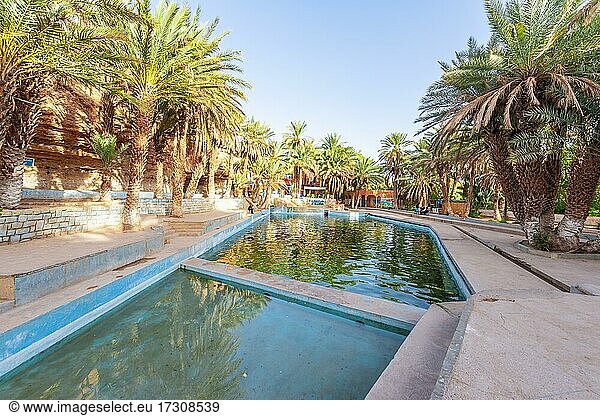 Schwimmbecken mit Palmen  Oase Source Bleu  Blaue Quelle  Madkhal Meski  Marokko  Afrika