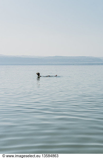 Schwimmender Mann im Toten Meer  Jordanien