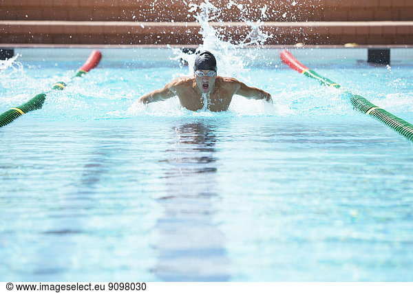 Schwimmerrennen im Pool