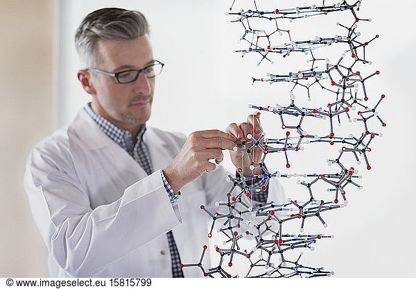 Science teacher assembling molecule model in laboratory classroom