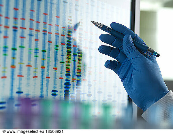 Scientist analysing a DNA profile after testing in the lab.