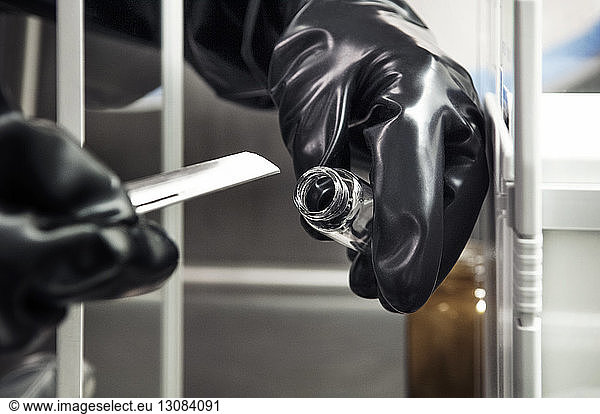 Scientist examining sample in laboratory