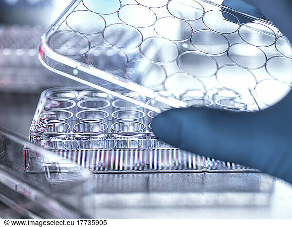 Scientist experimenting with microplate in laboratory