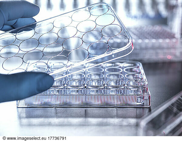 Scientist holding microplate cover in laboratory