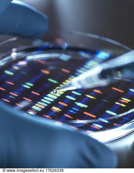 Scientist pipetting sample into tray for DNA testing