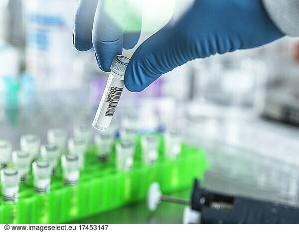 Scientist preparing DNA samples for testing in the lab.