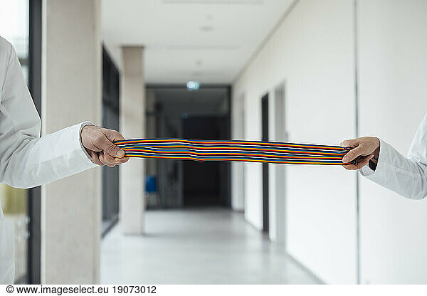 Scientists holding multicolored computer cable