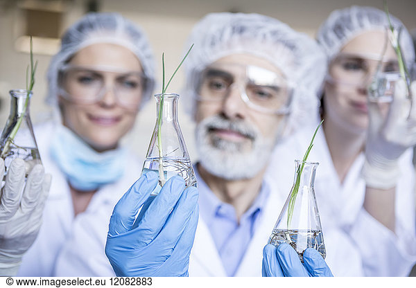 Scientists in lab holding beakers with plant seedlings