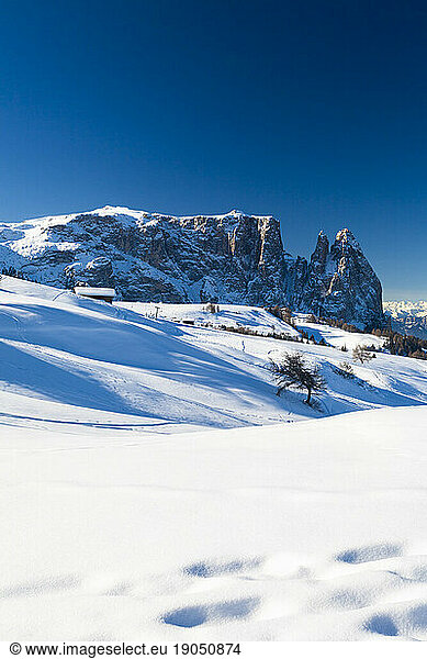 Sciliar and Santner peaks  Seiser Alm  Dolomites  Italy
