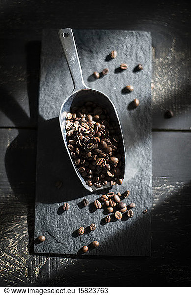 Scoop of roasted coffee beans