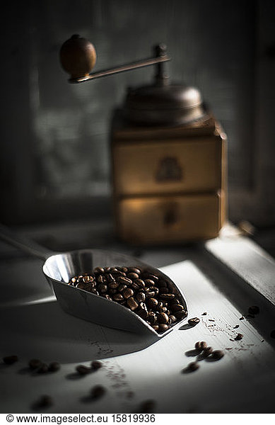 Scoop of roasted coffee beans with coffee grinder in background