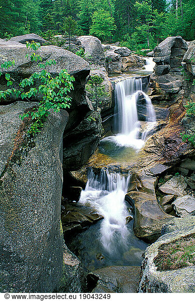 Screw Auger Falls  Grafton Notch State Park  Maine.