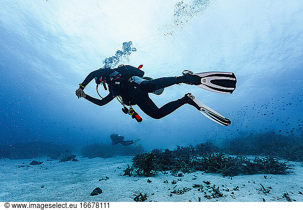 Scuba diver exploring the Great Barrier Reef